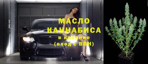 гашик Пестово
