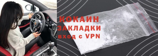 гашик Пестово