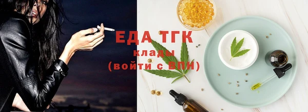 гашик Пестово