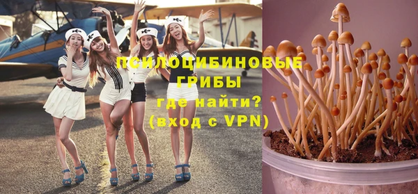 спайс Пересвет